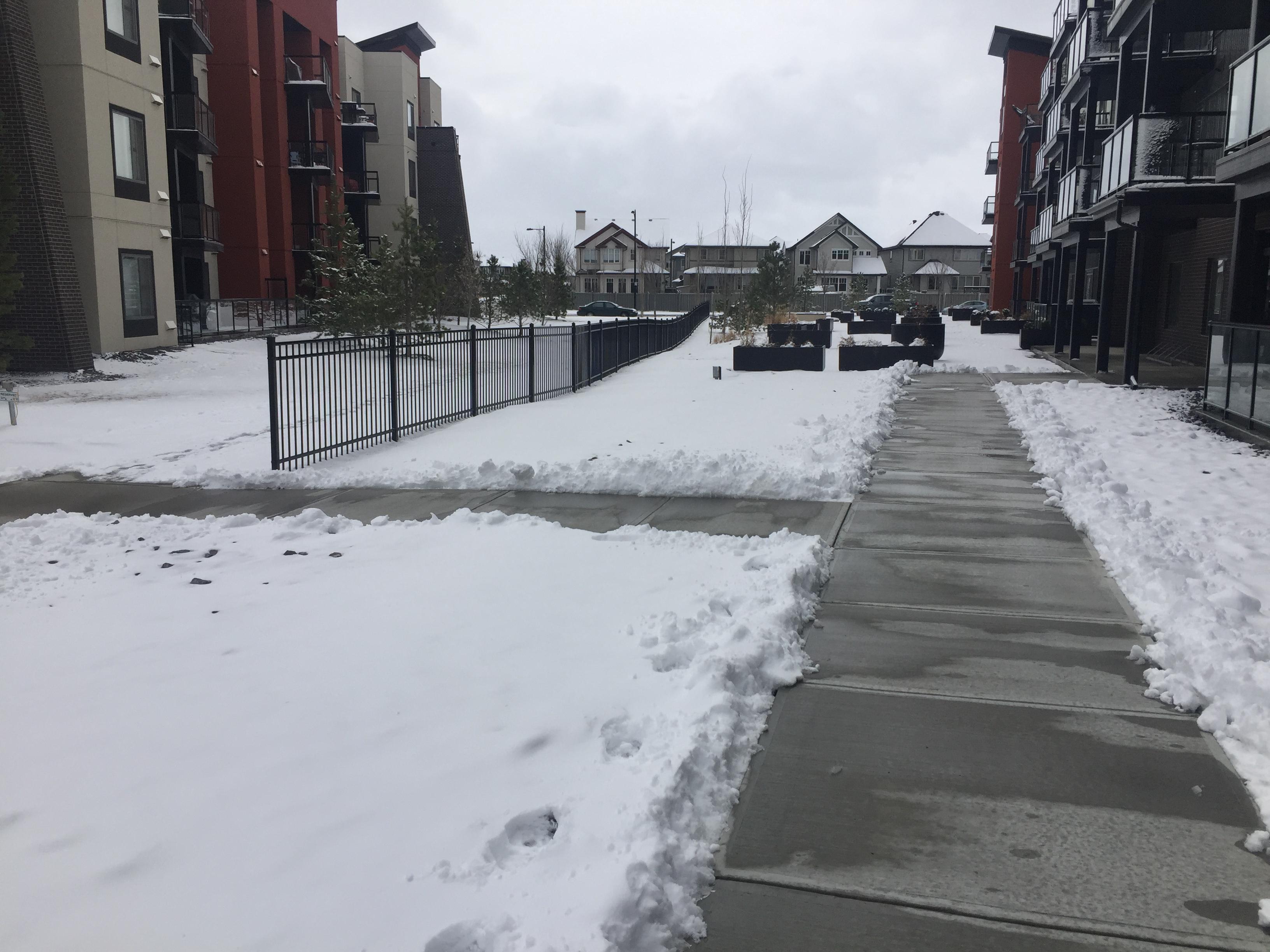 Townhouse complex courtyard with cleared walkways through deep snow